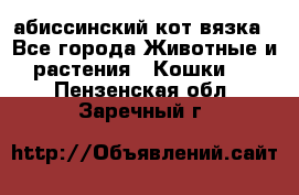 абиссинский кот вязка - Все города Животные и растения » Кошки   . Пензенская обл.,Заречный г.